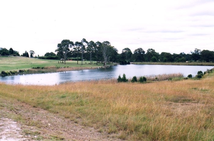 A view of Lake Sedgewick