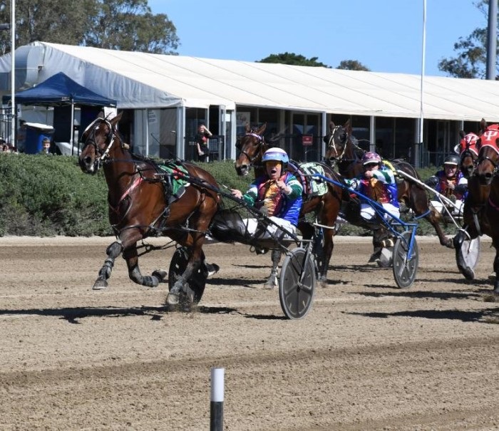 Harness Racing in action 