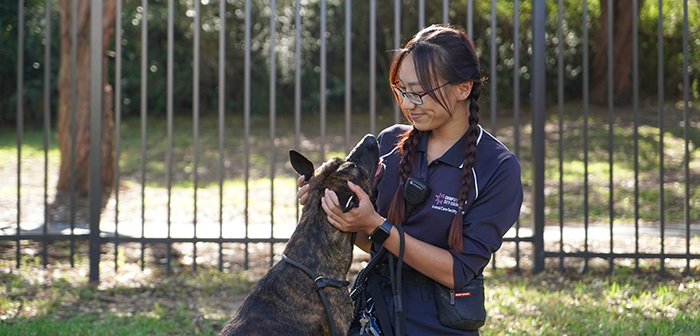 An Animal Care Facility staff member with a dog