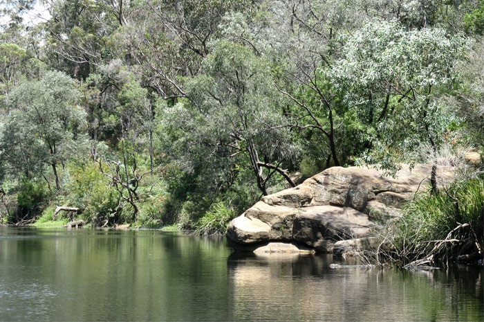 Simmos Beach view of the river and riverbank