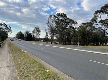Henderson-facing-bridge