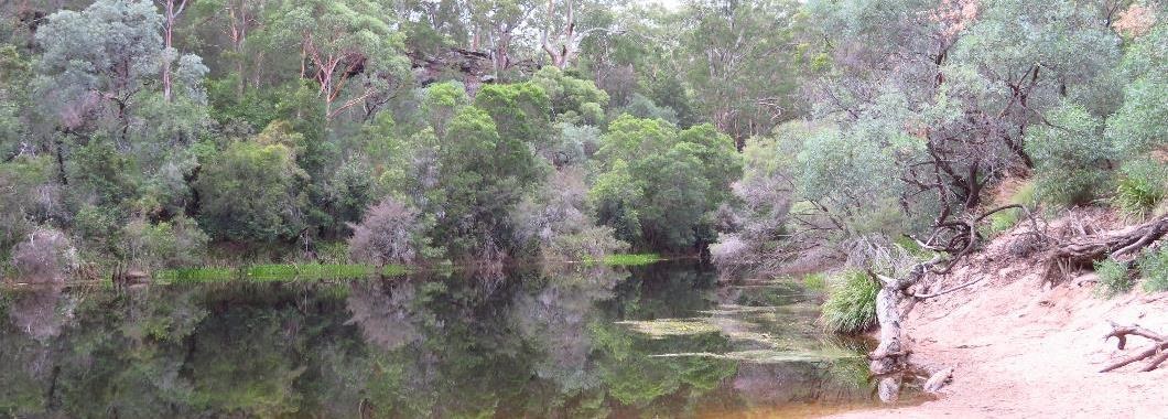 Photo of Simmos Beach Reserve