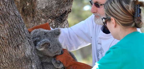 Dr Rob Close and Angela Taylor at Riverside Drive, Airds.