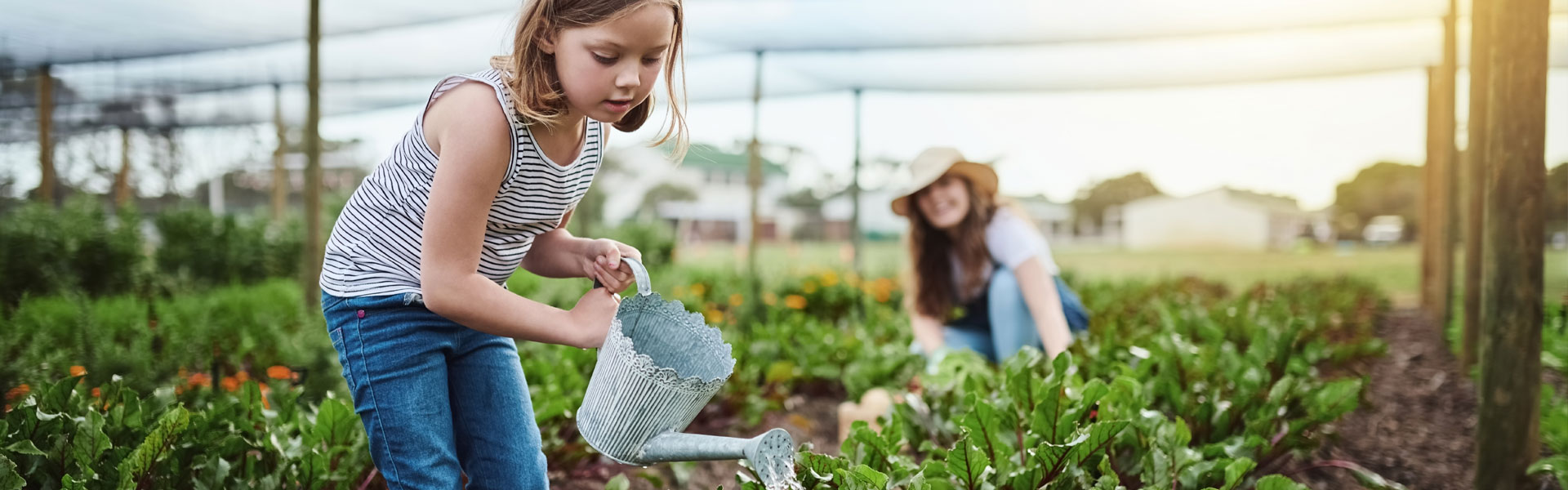 Free waste reduction and recycling workshops