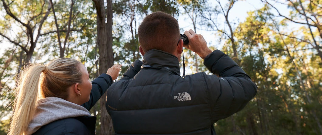 Two people bird watching