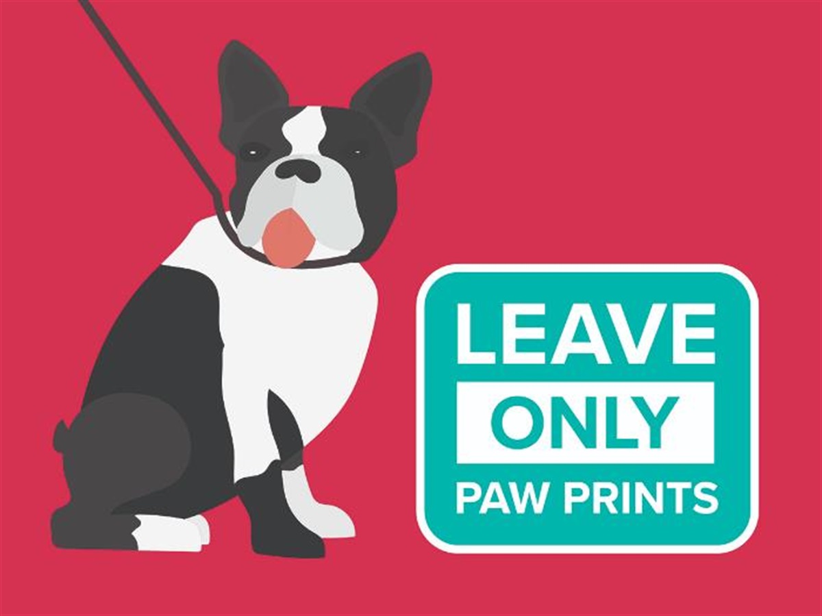 Image of a black and white dog on a lead sitting next to a slogan which reads Leave Only Paw Prints
