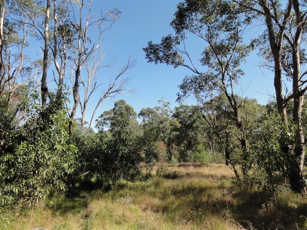 Smiths Creek Reserve