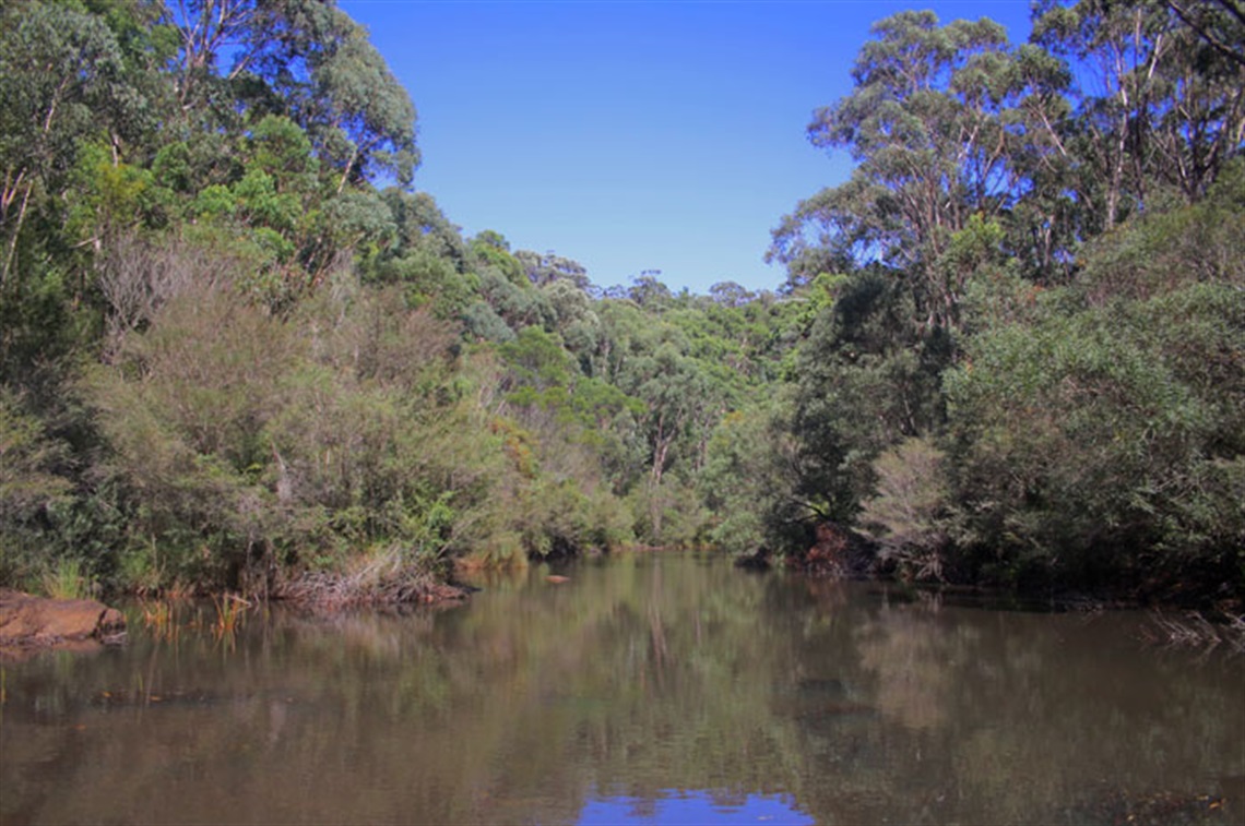 Dharawal National Park