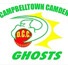  Campbelltown Camden District Cricket Club logo