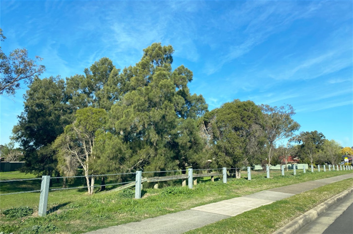 Vale Brooke Reserve - Eschol Park