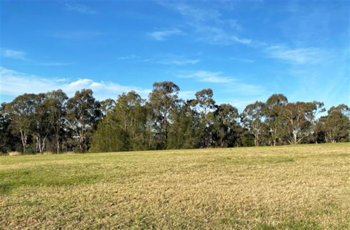 Clovelly Reserve Woodbine