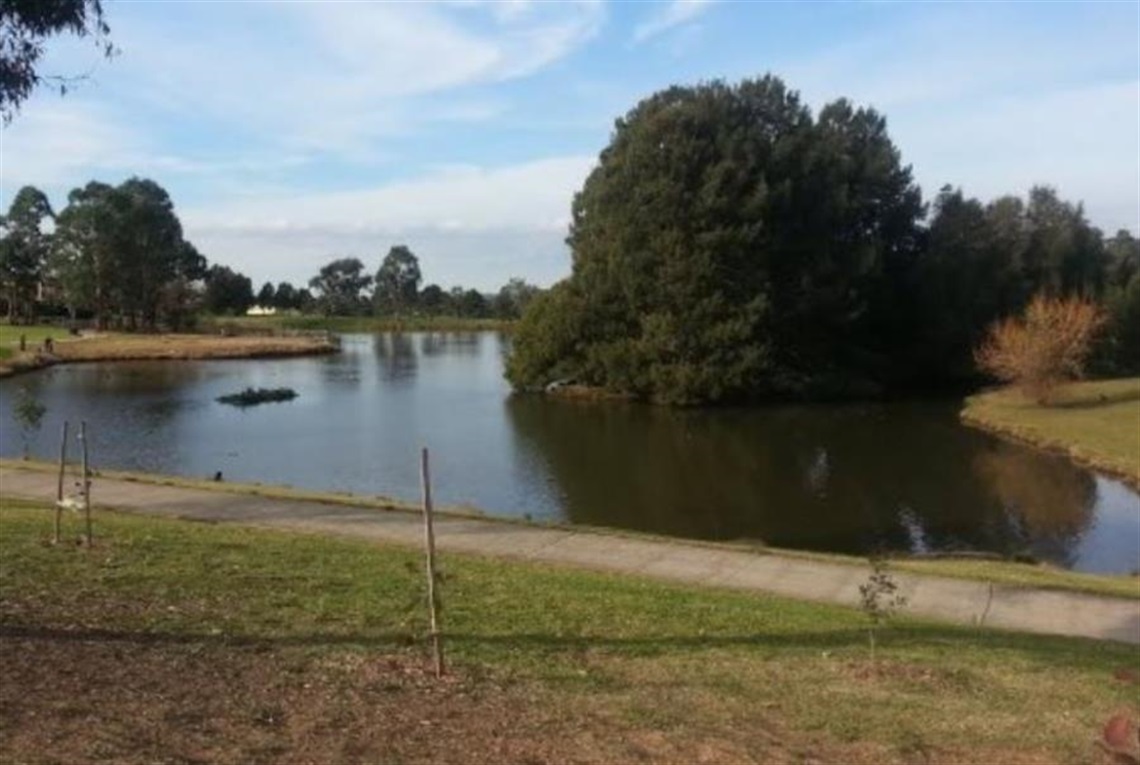 Pond at Eagle Vale Reserve