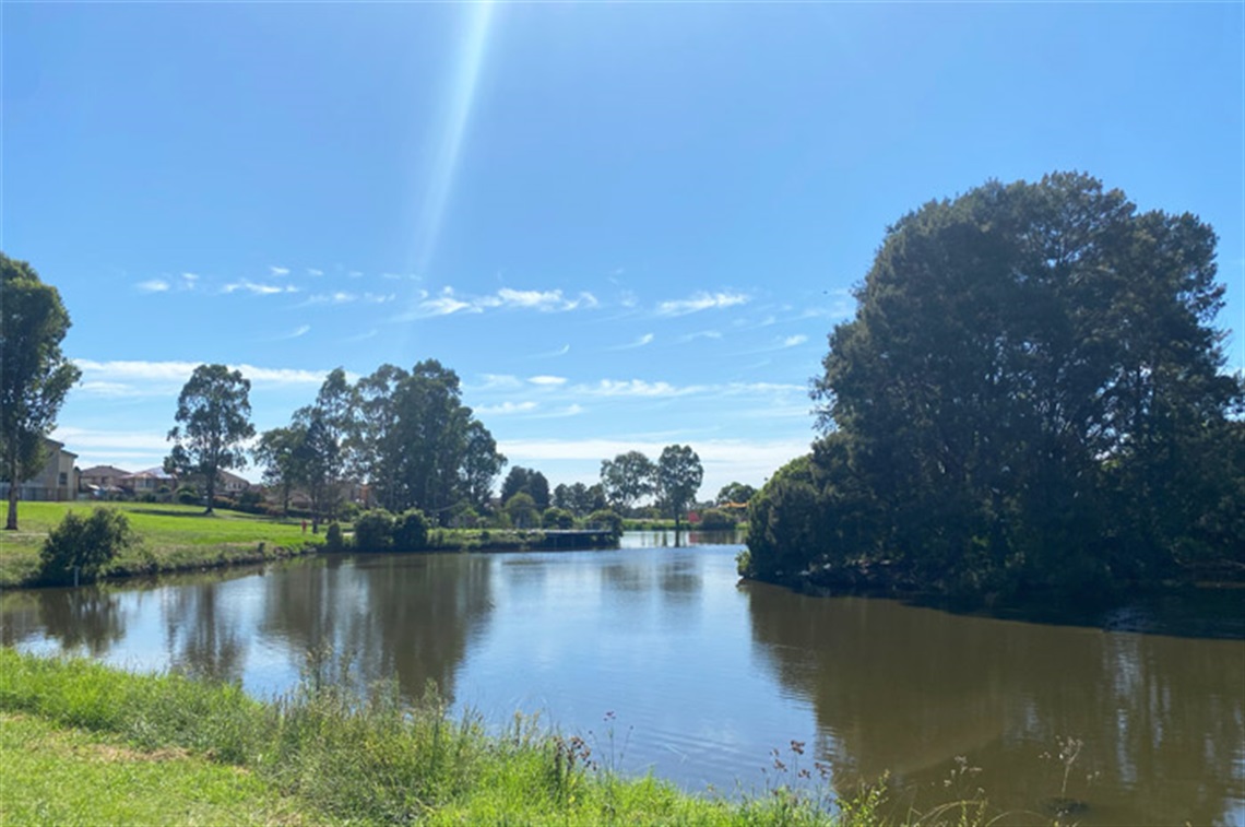 Eagle Farm Reserve