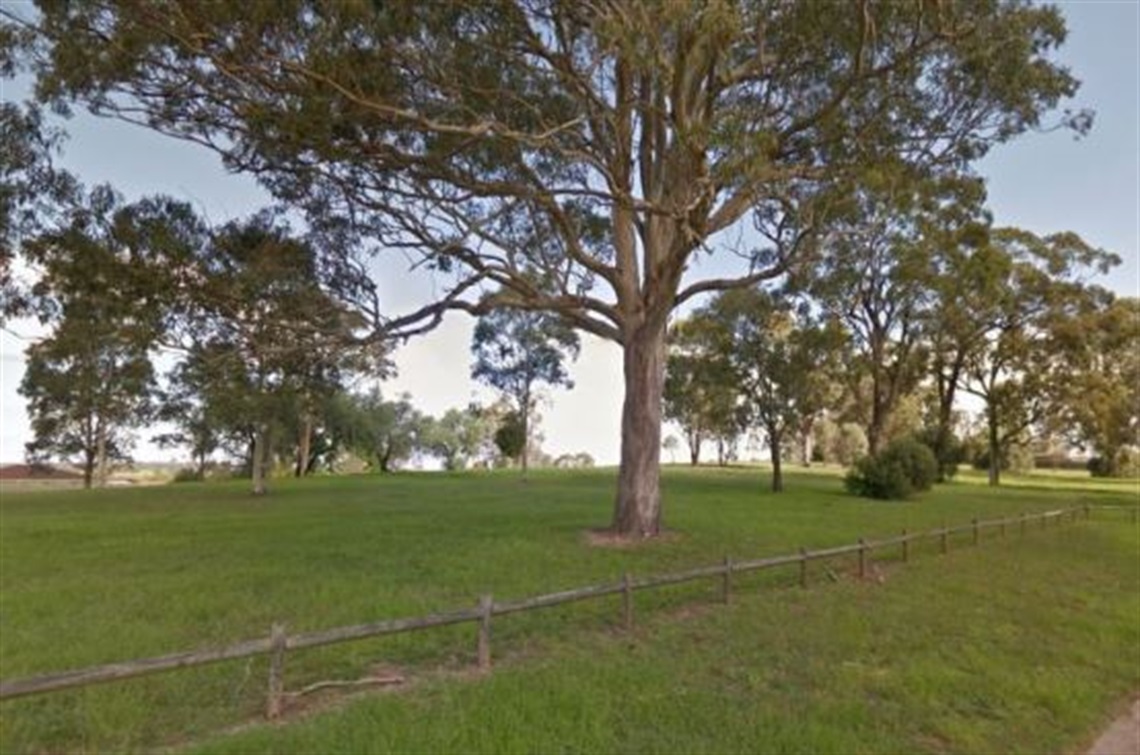 Grassy area in foreground, trees in background - Falstaff Reserve Rosemeadow