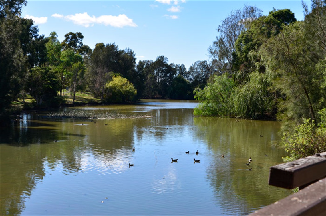 Relax while taking in scenic views