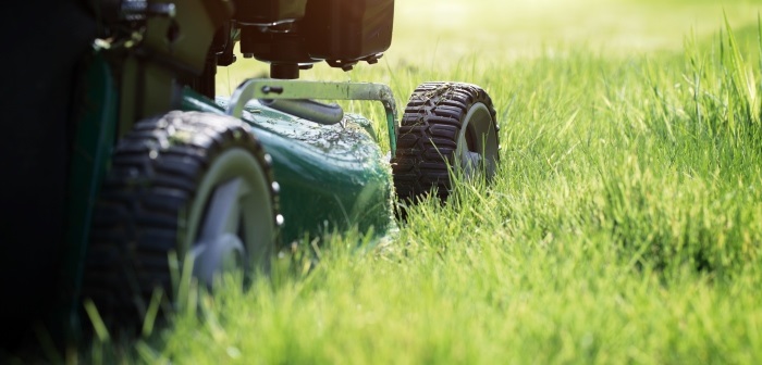 Section of a green lawn mower on partially cut grass