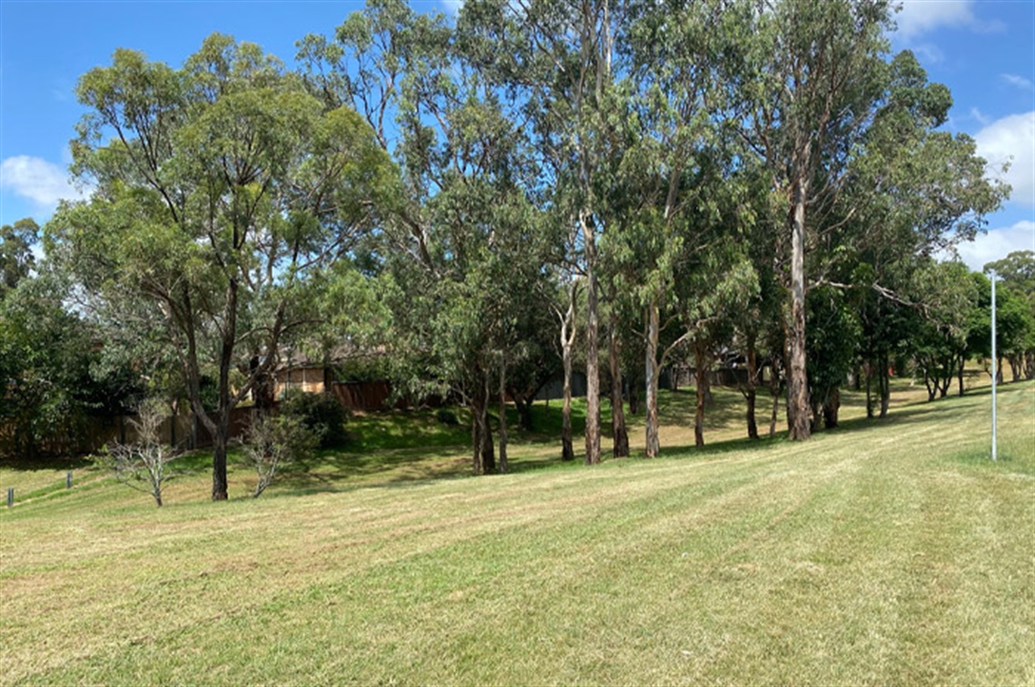 Symonds Reserve - Ingleburn