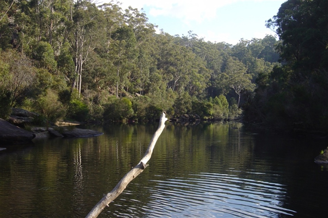 Georges River and O'Hares Creek meet in this reserve