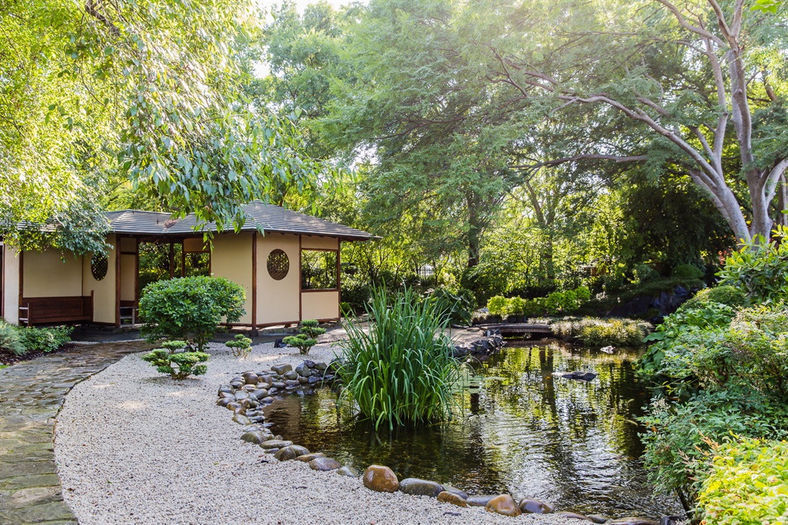 Image of Japanese Gardens