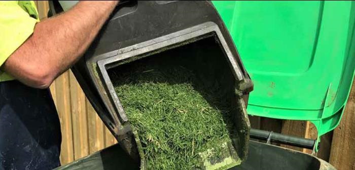 Gardner emptying lawn clippings into organic bin