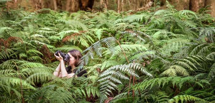 Fifty Shades Of Green, photo by Bron King