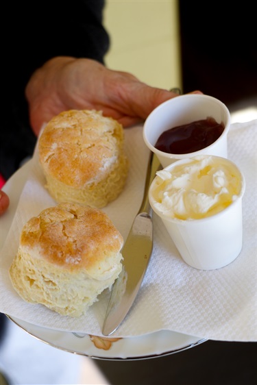 Freshly made, an experience like no other