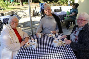 Explore the Historic House and stop for a tea