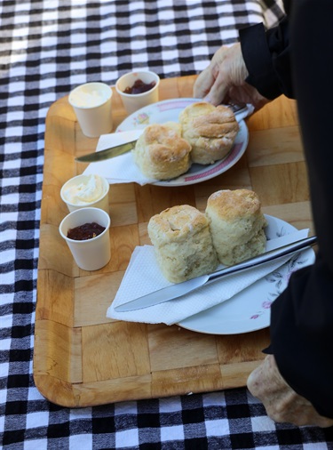 Fresh scones with jam and cream