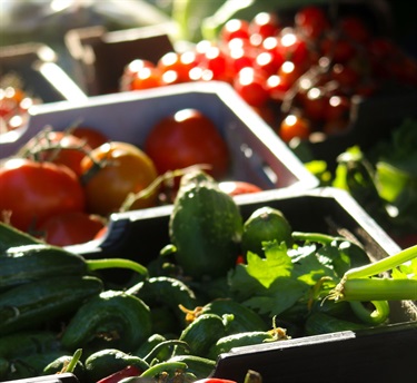 Bring your shopping bags to support local