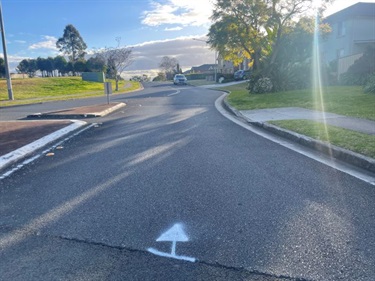 Before photo of Invergowrie Avenue