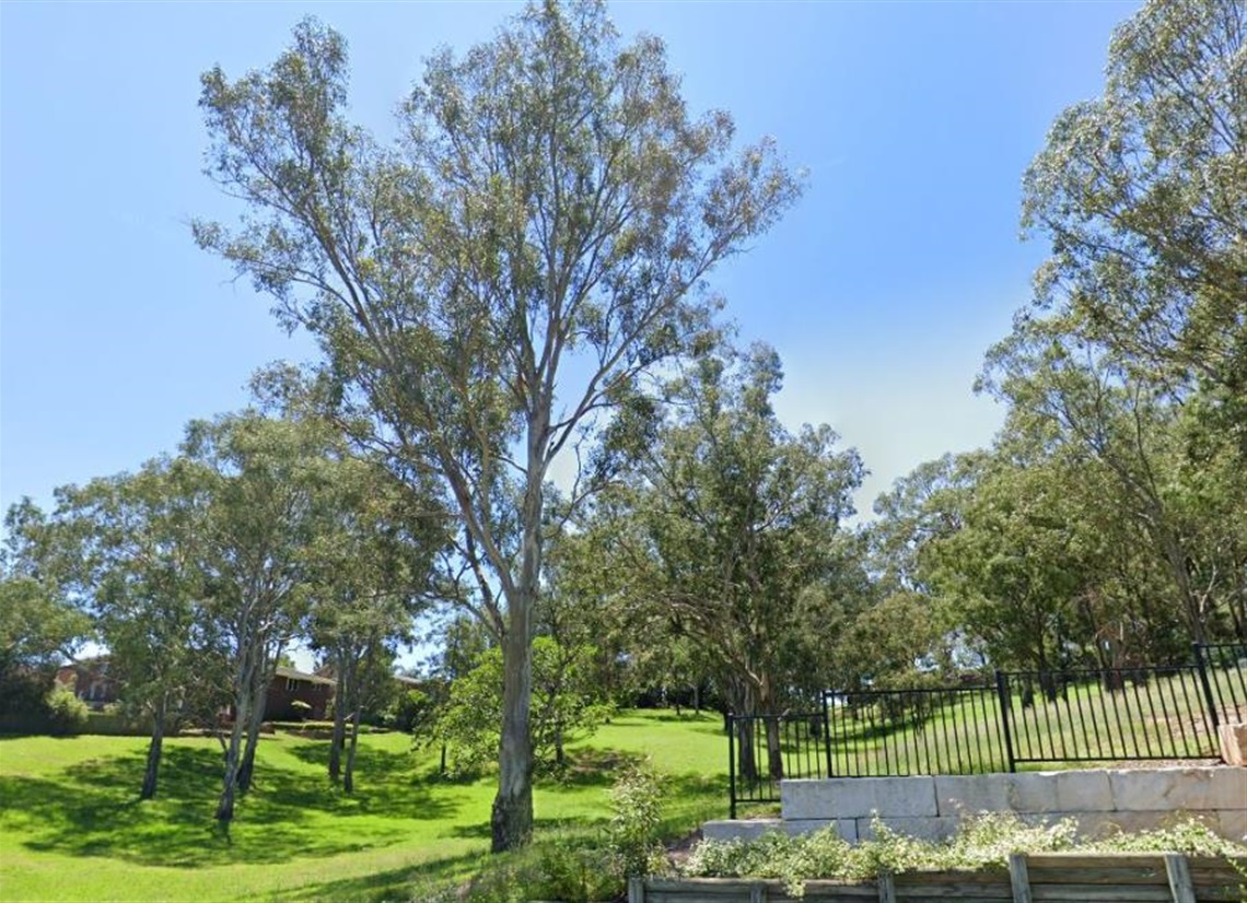 Grassy area and fence in foreground, houses and trees in background - Ernest Walsh Reserve